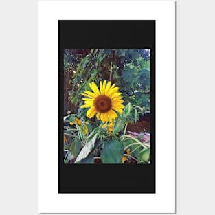 Sunflower in summer Posters and Art